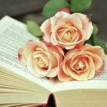 Biografi Penulis Buku Indonesia